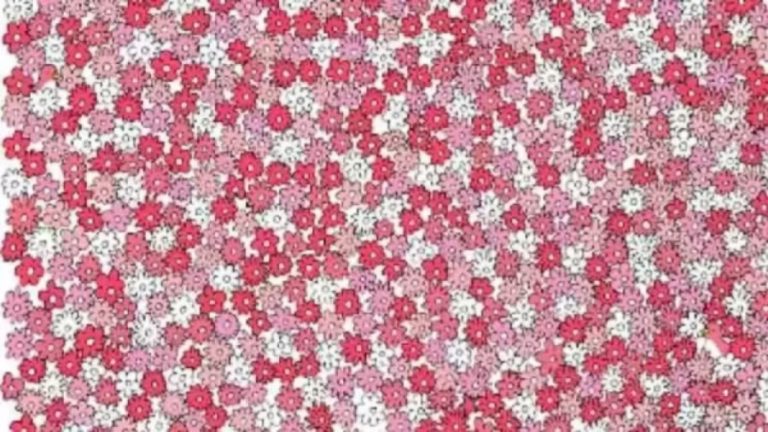 Can You Spot the Duck Among the Flowers in 15 Seconds? Explanation And Solution To The Optical Illusion