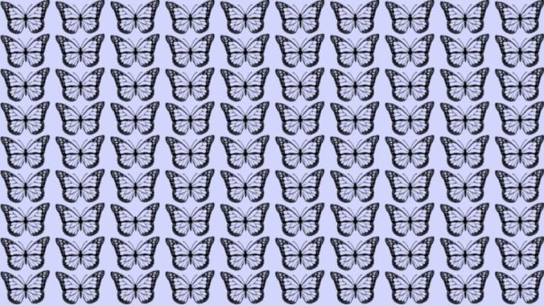 Only the 5% attentive can spot the hidden Number 945 in this picture within 9 seconds.