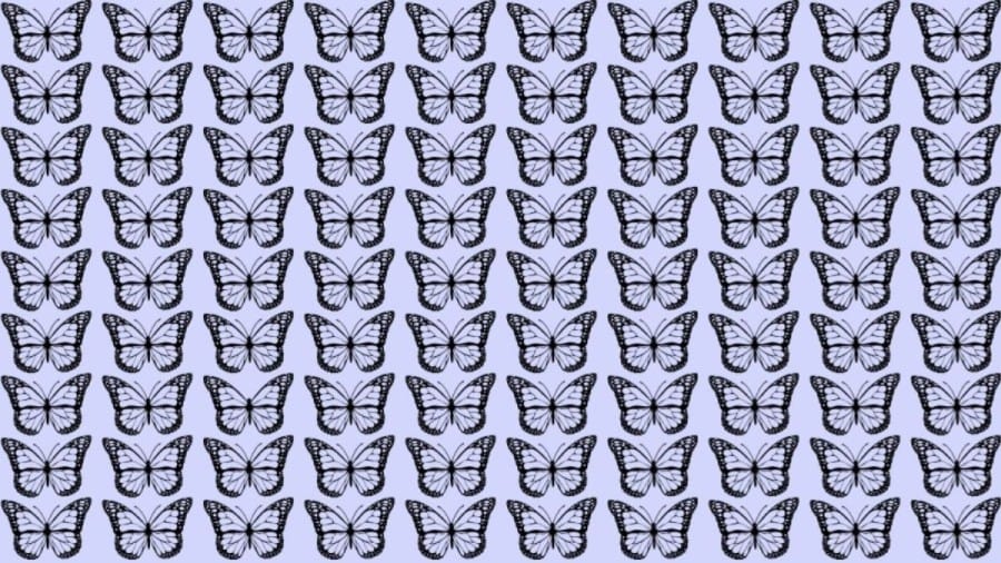 Only the 5% attentive can spot the hidden Number 945 in this picture within 9 seconds.