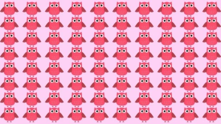 Observation Skill Test: Can you find the odd Owl in the picture within 10 seconds