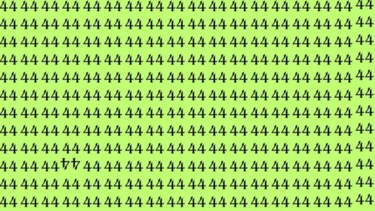 Observation Skills: Can you find the inverted 44 number using your sharp eyes?