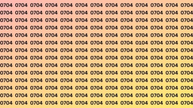 Observation Skills Test: Can you find the number 0704 among 0104 in 15 seconds?