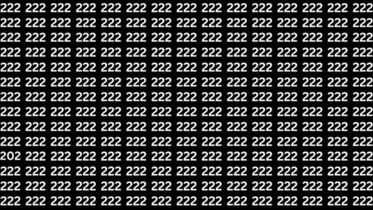 Observation Skills Test: Can you find the number 202 among 222 in 12 seconds?