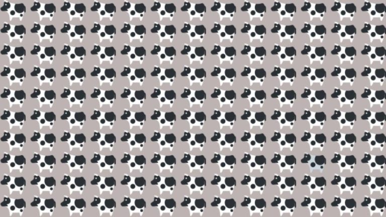 Observation Skills Test: Can you find the odd Cow out in 10 seconds?