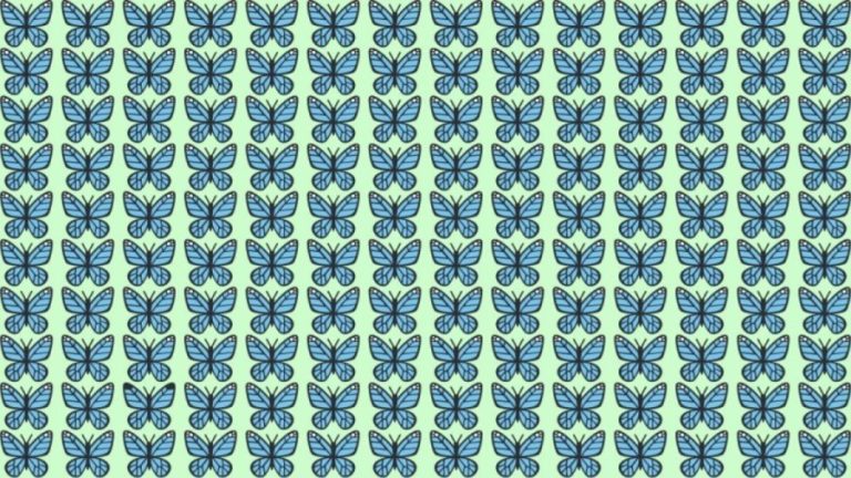 Observation Skills Test: Can you spot which Butterfly is different in 10 seconds?