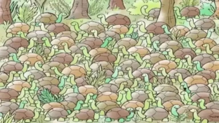 Optical Illusion Challenge: Only Sharp Eyes can find the Hidden Snake among the Tortoises within 15 Seconds