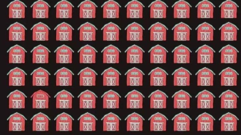 Optical Illusion to test your eyes: Can You Find The Different Barn?