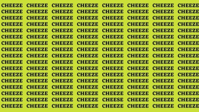 Brain Teaser: If you have Eagle Eyes Find the word Cheese in 13 Secs