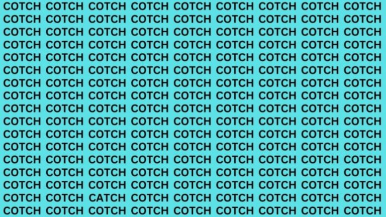 Brain Teaser: If you have Eagle Eyes Find the word Catch in 13 secs