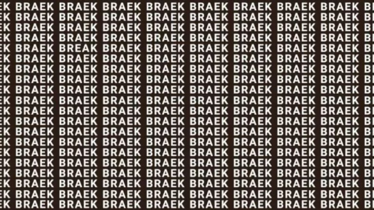 Brain Teaser: If you have Hawk Eyes find the word Break in 15 secs