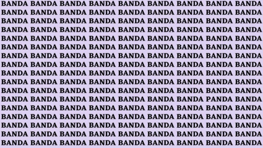 Brain Teaser: If You Have Hawk Eyes Find The Word Panda In 15 Secs