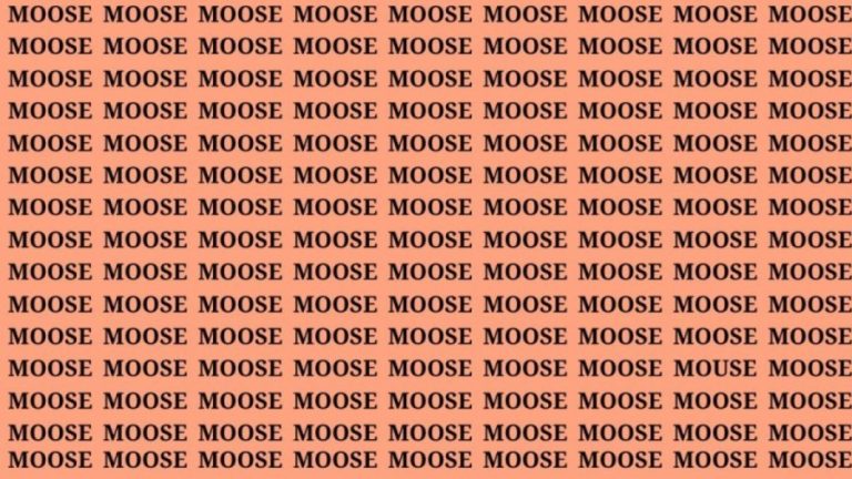 Brain Teaser: If You Have Hawk Eyes Find the Word Mouse in 15 Secs