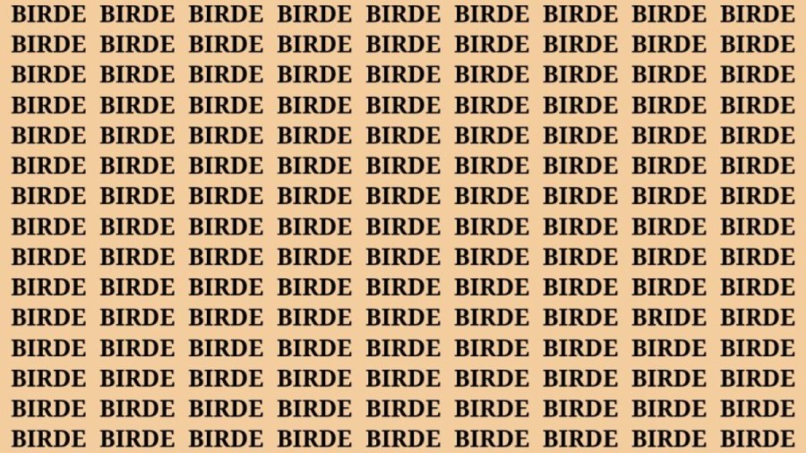 Brain Teaser: If You Have Eagle Eyes Find the Word Bride in 15 Secs