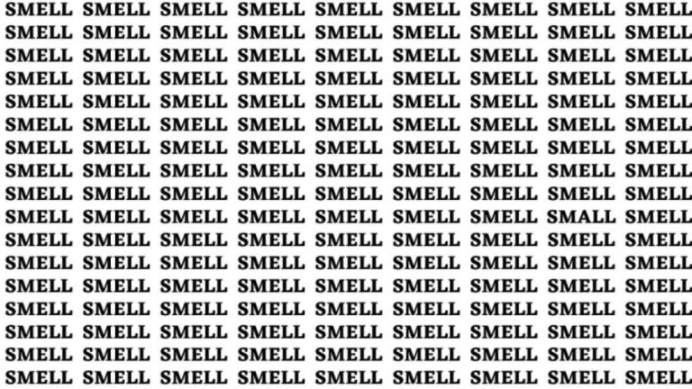 Brain Teaser: If You Have Sharp Eyes Find The Word Small Among Smell In 20 Secs