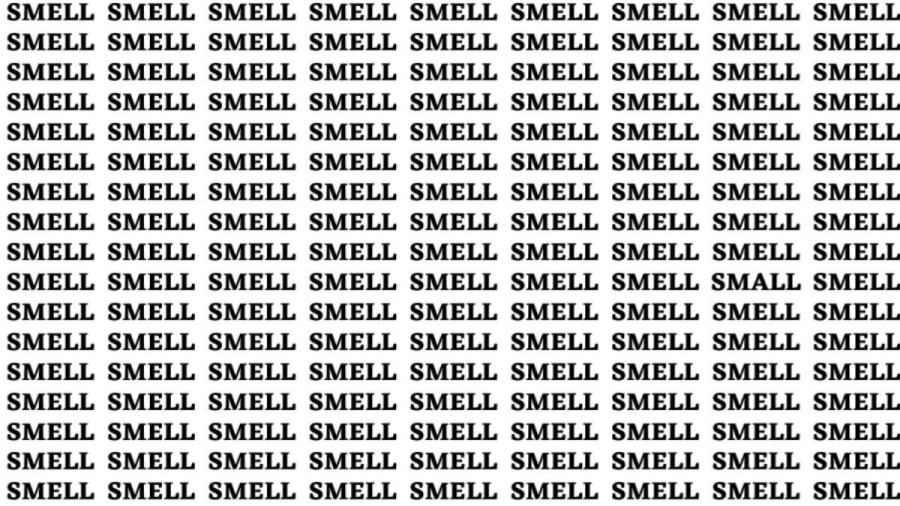 Brain Teaser: If You Have Sharp Eyes Find The Word Small Among Smell In 20 Secs