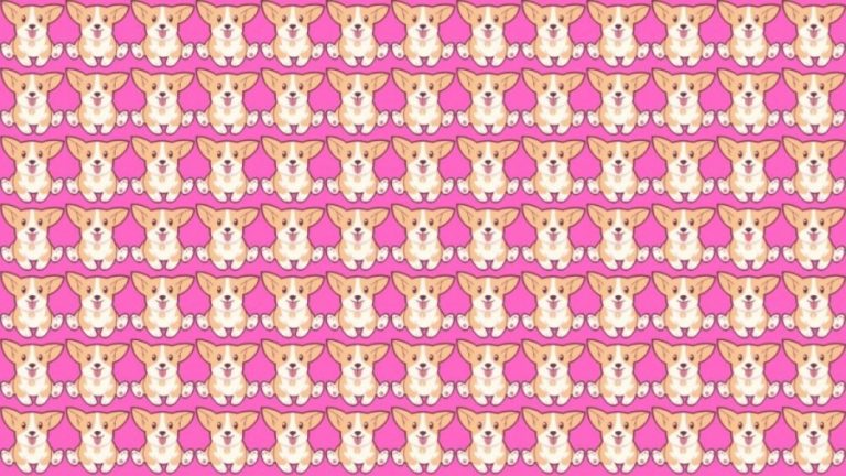 Can you Spot the Odd One Out in this Image within 14 Secs? Explanation and Solution to the Optical Illusion