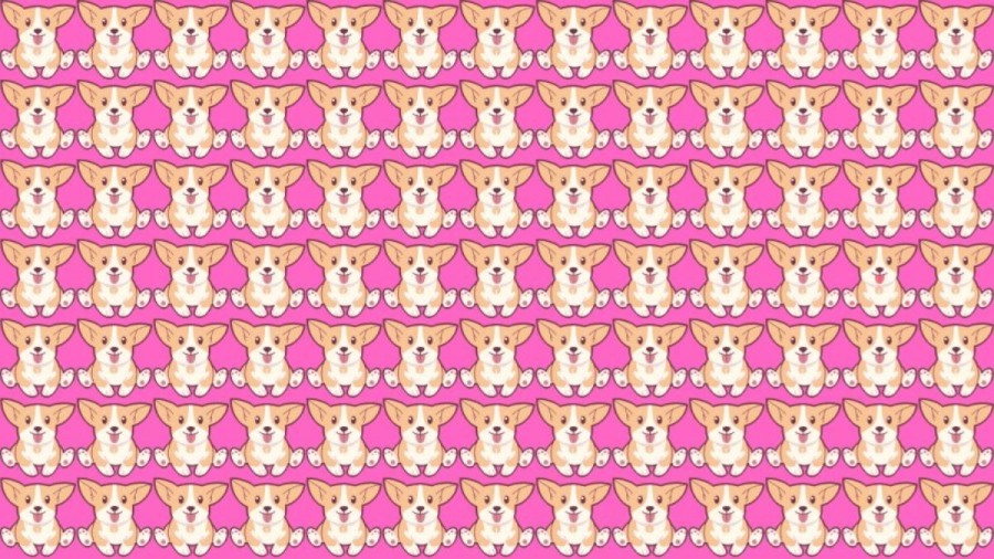Can you Spot the Odd One Out in this Image within 14 Secs? Explanation and Solution to the Optical Illusion