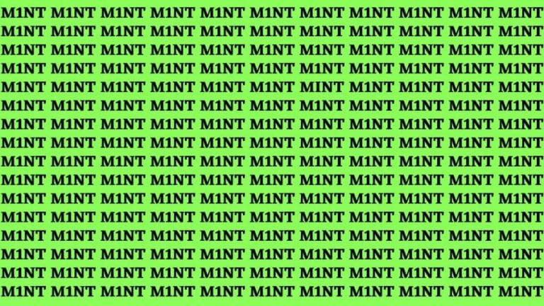 Brain Teaser: If You Have Eagle Eyes Find The Word Mint In 20 Secs