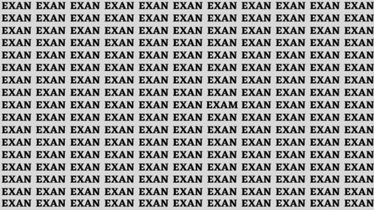 Optical Illusion: If You Have Sharp Eyes Find The Word Exam In 10 Secs