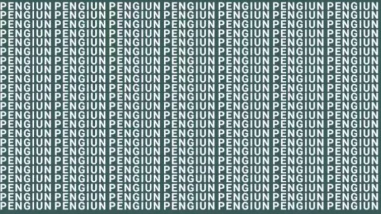 Brain Teaser: If You Have Hawk Eyes Find The Word Penguin In 10 Secs