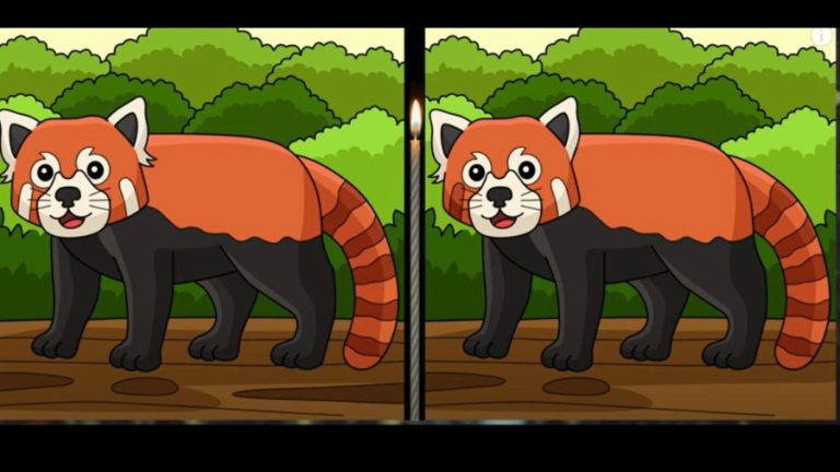 Brain Teaser Eye Test: Find 3 differences in 15 secs