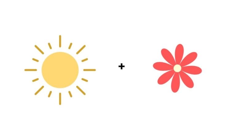 Brain Teaser: Guess The Name Of The Flower From The Emoji Clues