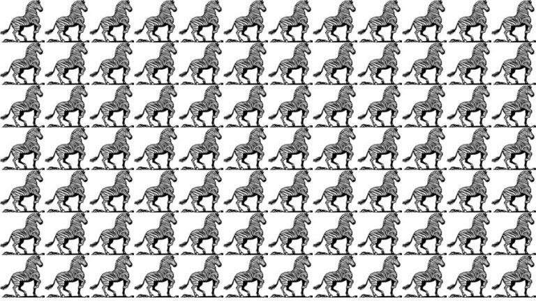 Brain Teaser: If You Have Eagle Eyes find 3 legs within 15 Seconds?