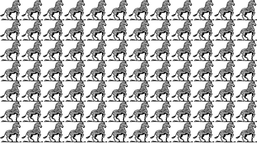 Brain Teaser: If You Have Eagle Eyes find 3 legs within 15 Seconds?