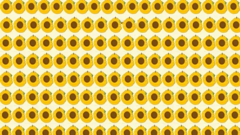 Brain Teaser Picture Puzzle: A Bee is Hiding Amongst these Honey Combs Can You Spot the Bee?