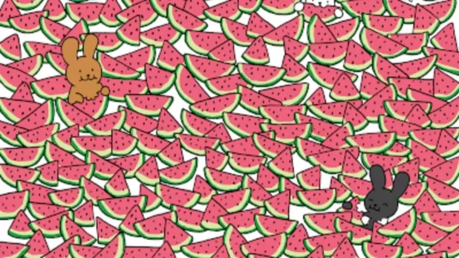 Can You Find Hidden Five Seedless Watermelons Within 10 Secs? Explanation and Solution to the Five Seedless Watermelons Optical Illusion