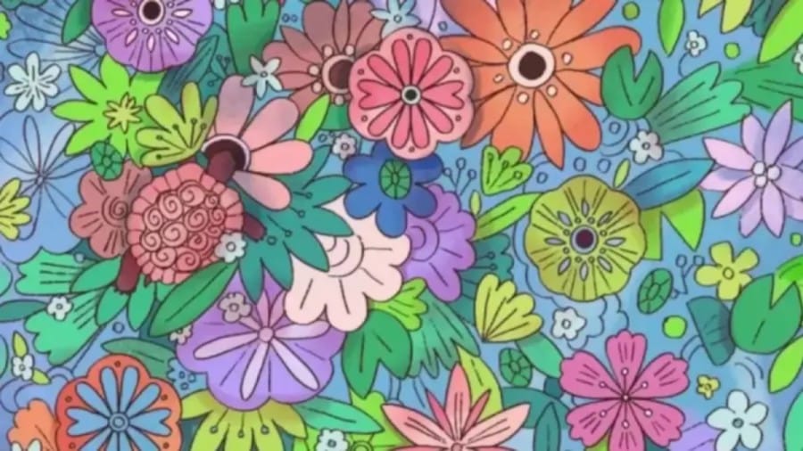 Can You Find the Hidden Tortoise in this Floral Illusion within 18 Seconds? Explanation and Solution to the Hidden Tortoise Optical Illusion
