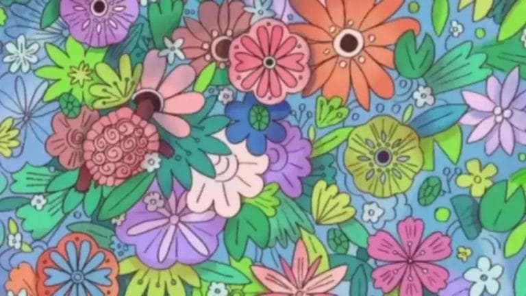 Can You Locate the Hidden Tortoise in this Floral Illusion within 18 Seconds? Explanation and Solution to the Hidden Tortoise Optical Illusion