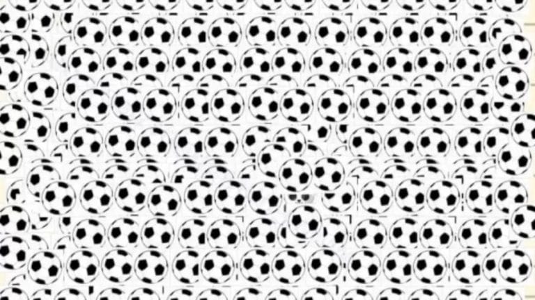 Can You Spot the Panda Hidden Among the Balls? Explanation and Solution to the Optical Illusion