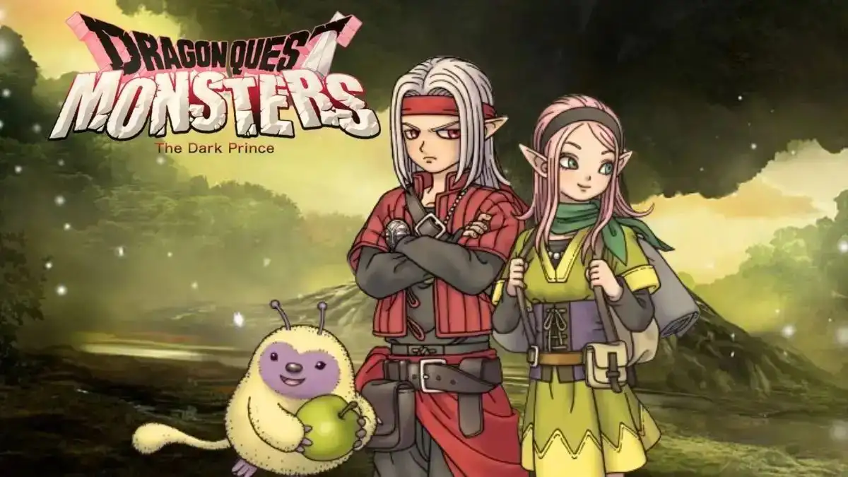 Dragon Quest Monsters The Dark Prince Accessories Guide