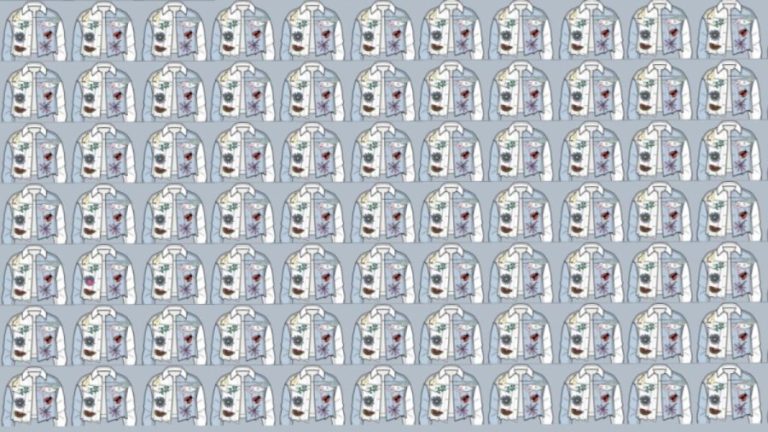 Eye Confusing Optical Illusion: Find the Odd Shirt in 10 Seconds