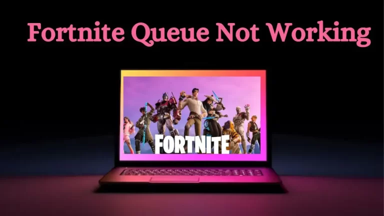 Fortnite Queue Not Working, How to Fix the Fortnite Queue Not Working? Why is the Fortnite Queue Not Working Today?