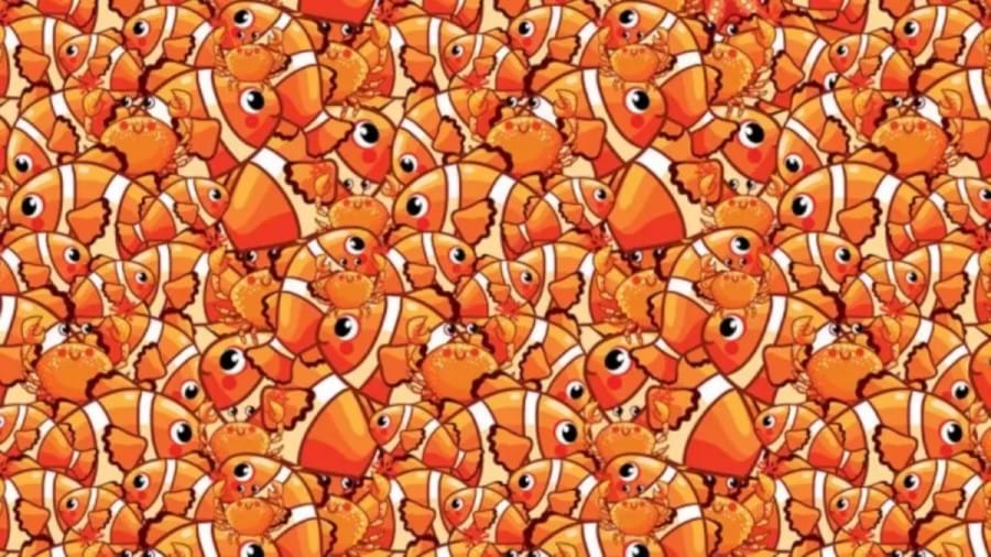 It Is Not Just Some Fishes And Crabs. There Is Also A Hidden Starfish In This Optical Illusion. Do You Notice It?