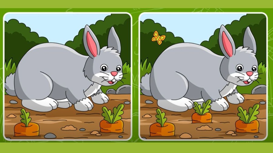 Spot the Difference Picture puzzle: Only smart people can spot 3 differences in this Image in 12 seconds