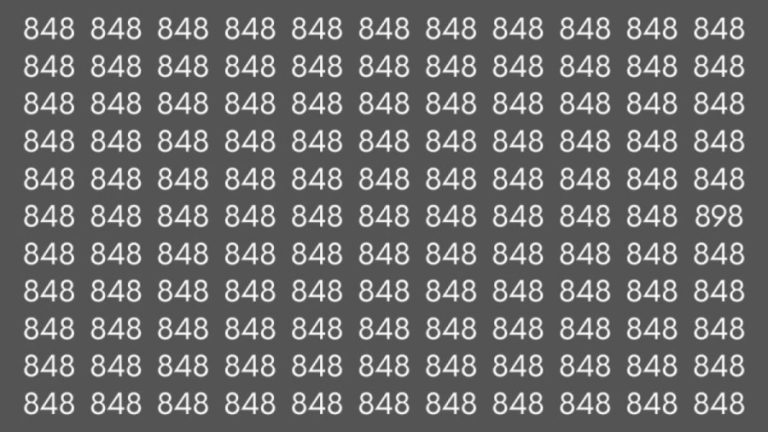 Observation Skills Test : Can you find the number 898 among 848 in 10 seconds?