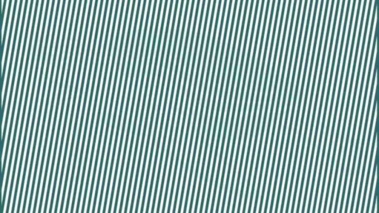 Only Hawk Eyes People can spot Hidden Turtle behind lines in 10 Secs - Explanation and Solution to this Turtle Optical Illusion