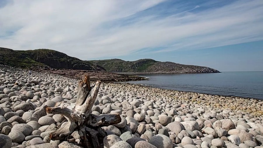 Optical Illusion Brain Test: Only 20% Can Locate The Seagull In This Rocky Shore In Less Than 25 Seconds. Can You?