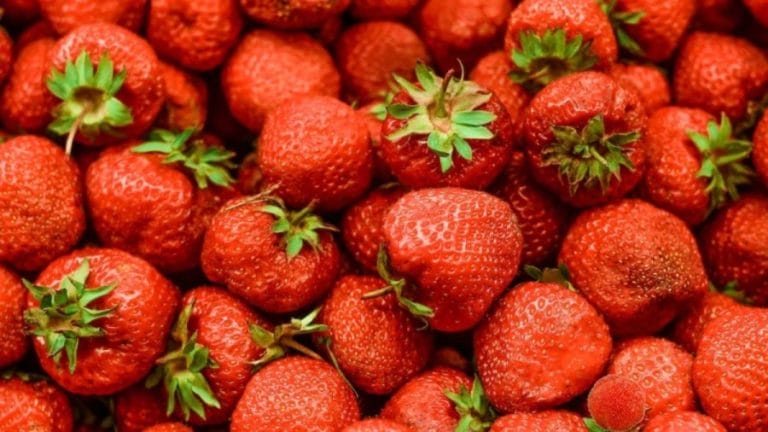 Optical Illusion: Can You Find a Myrica Rubra Among these Strawberries in 12 Seconds?