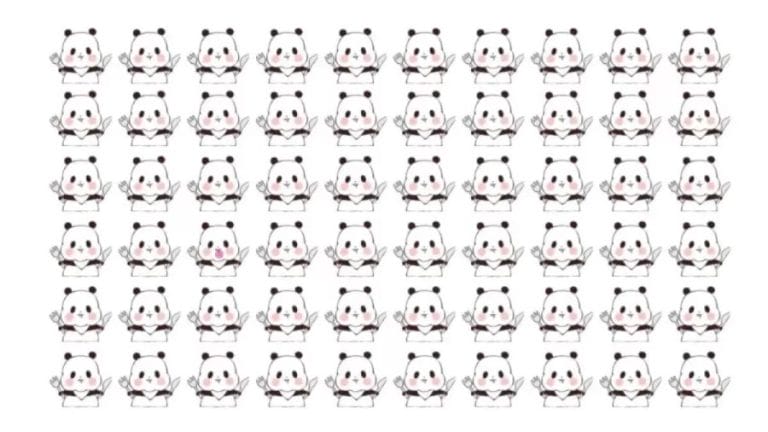 Optical Illusion: Can You Spot the Different Panda in 12 Seconds?