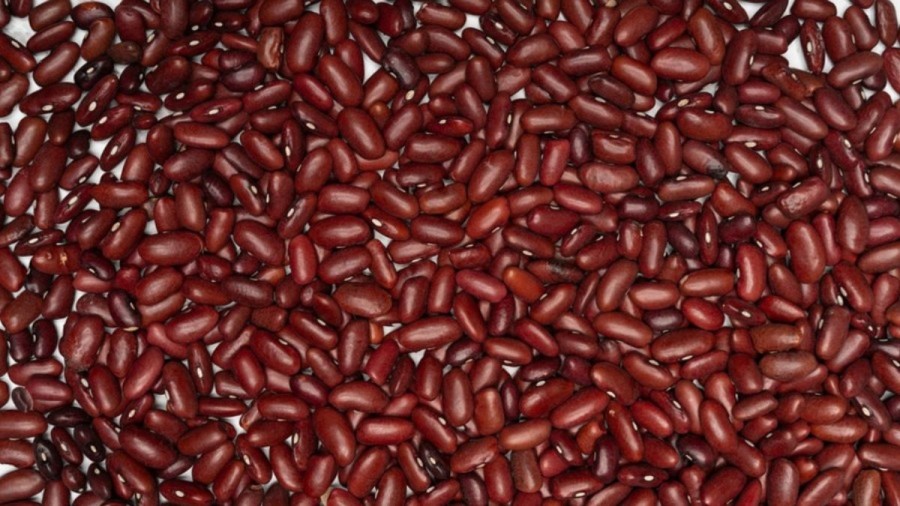 Optical Illusion Challenge: Identify the Coffee Bean among the Kidney Beans if you have keen eyes