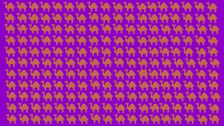 Optical Illusion Eye Test: Can You Identify the Odd Camel in this Picture within 10 Seconds?