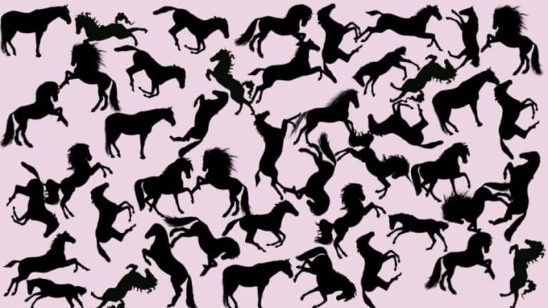 Optical Illusion Eye Test: Identify the Unicorn in this Picture within 10 Seconds If You Have Keen Eyes