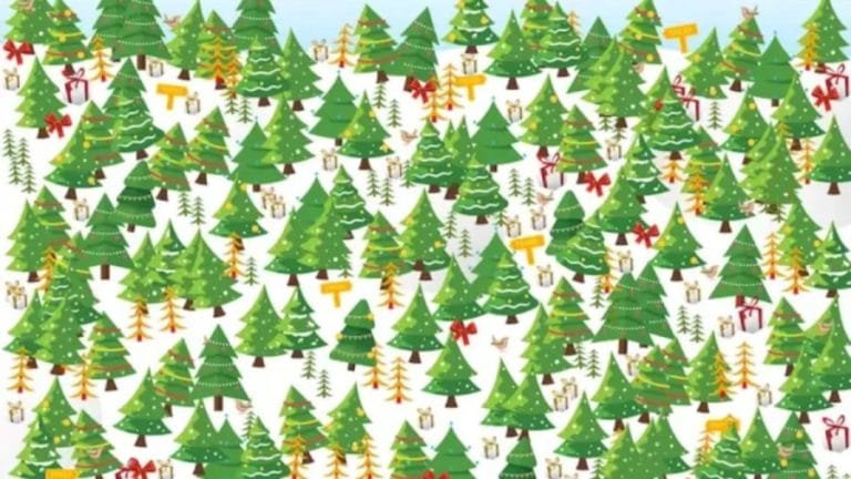 Optical Illusion Puzzle: Can You Find the Star Topped Christmas tree?