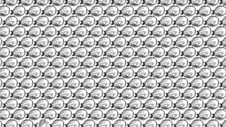 Optical Illusion To Trick Your Eyes: Within 10 Seconds, Spot The Hidden Porcupine In This Optical Illusion