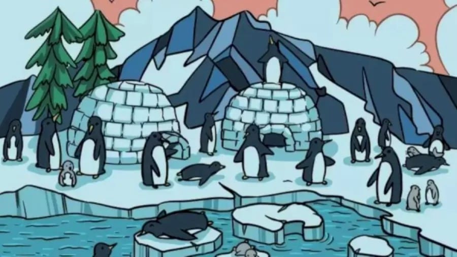 Optical Illusion: Within 11 Seconds, Locate the Seal Among These Penguins