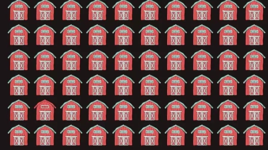 Optical Illusion for Eye Test: Can You Find the Different Barn?